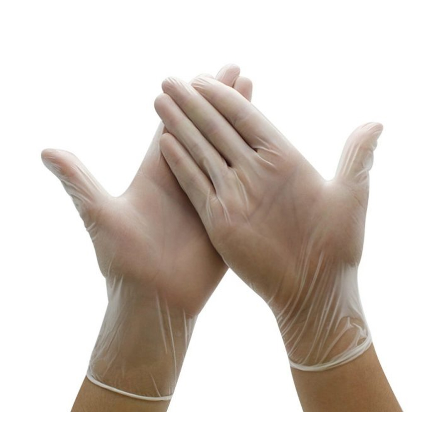 Clear Vinyl Gloves Powder Free Large (100)